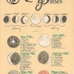 Embrace the Magic: A Joyful Guide to Wiccan Moon Phases and Their Enchanting Powers