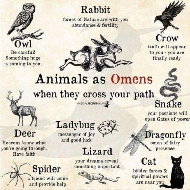 Discover Your Wiccan Spirit Animal: A Joyful Journey into Mystical Guides and Their Meanings!