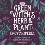 Embracing Nature’s Magic: Our Journey with The Green Witch’s Encyclopedia