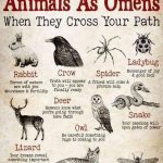 Embrace Your Inner Guide: Discover the Joy of Wiccan Spirit Animals and Their Magical Meanings!