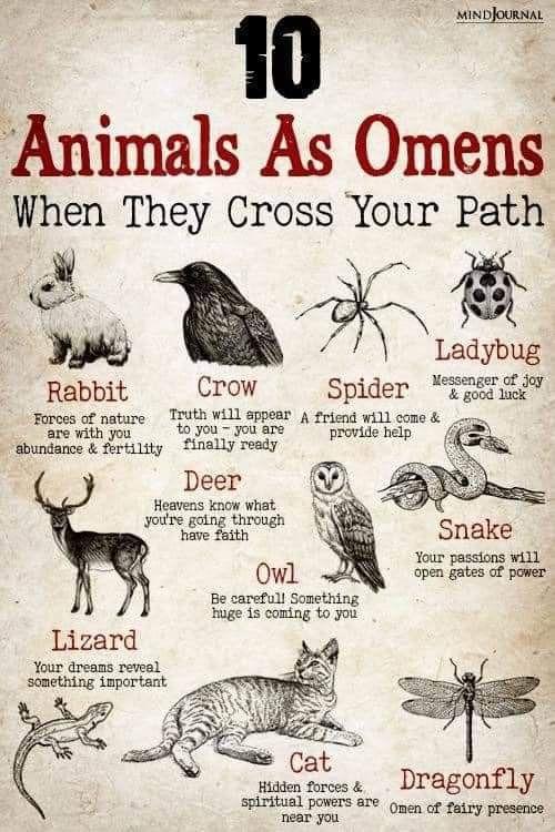 Embrace Your Inner Guide: Discover the Joy of Wiccan Spirit Animals and Their Magical Meanings!