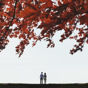 Create an Abuser Leave a Relationship