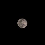Embrace the Magic: A Cheerful Guide to the Wiccan Moon Phases and Their Mystical Meanings