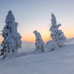 Correspondences-Trees
